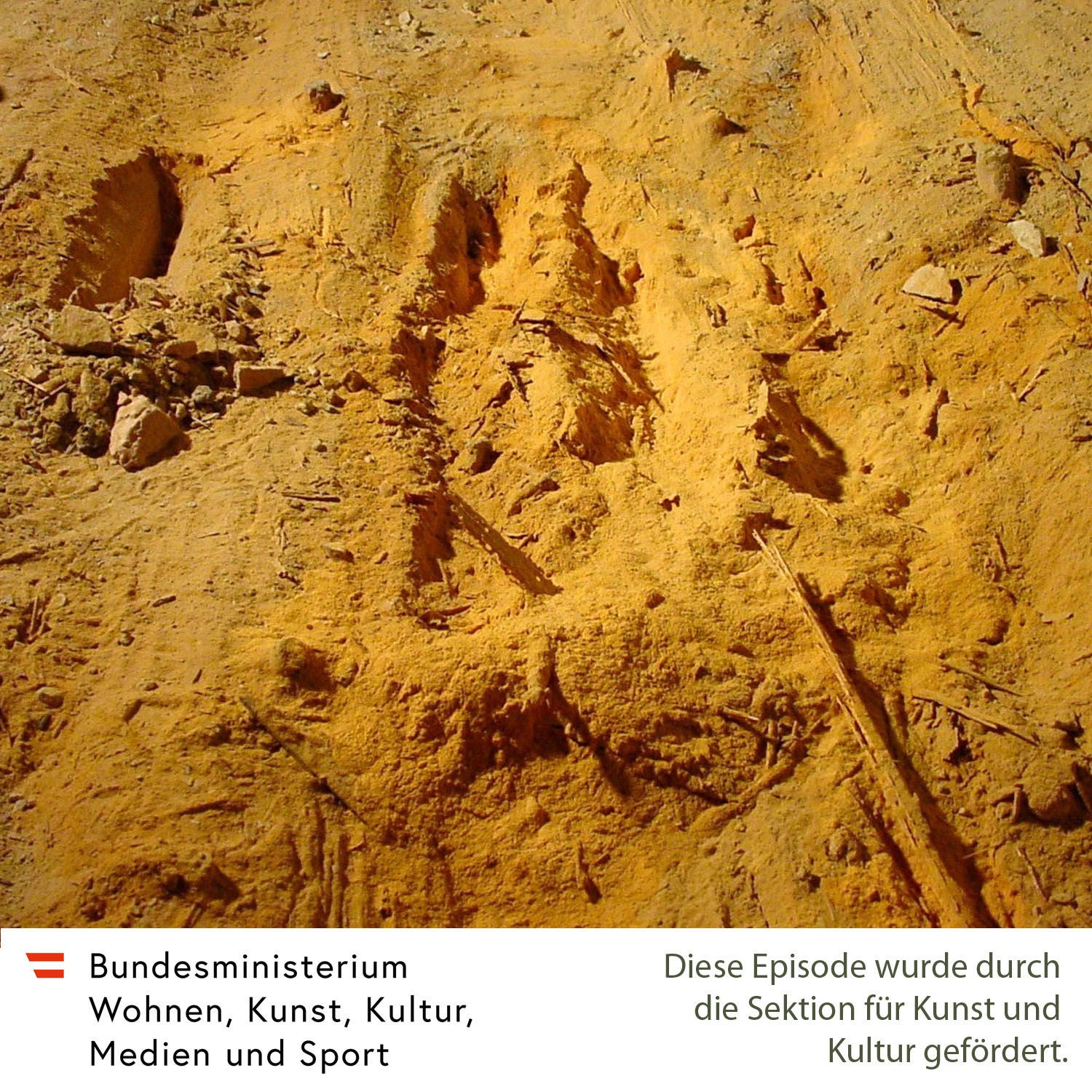 Über Holzschädlinge