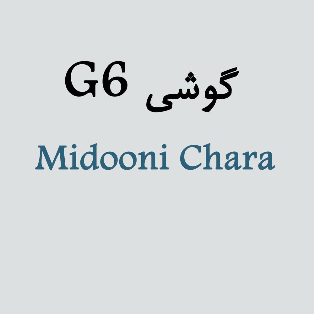 G6 گوشی