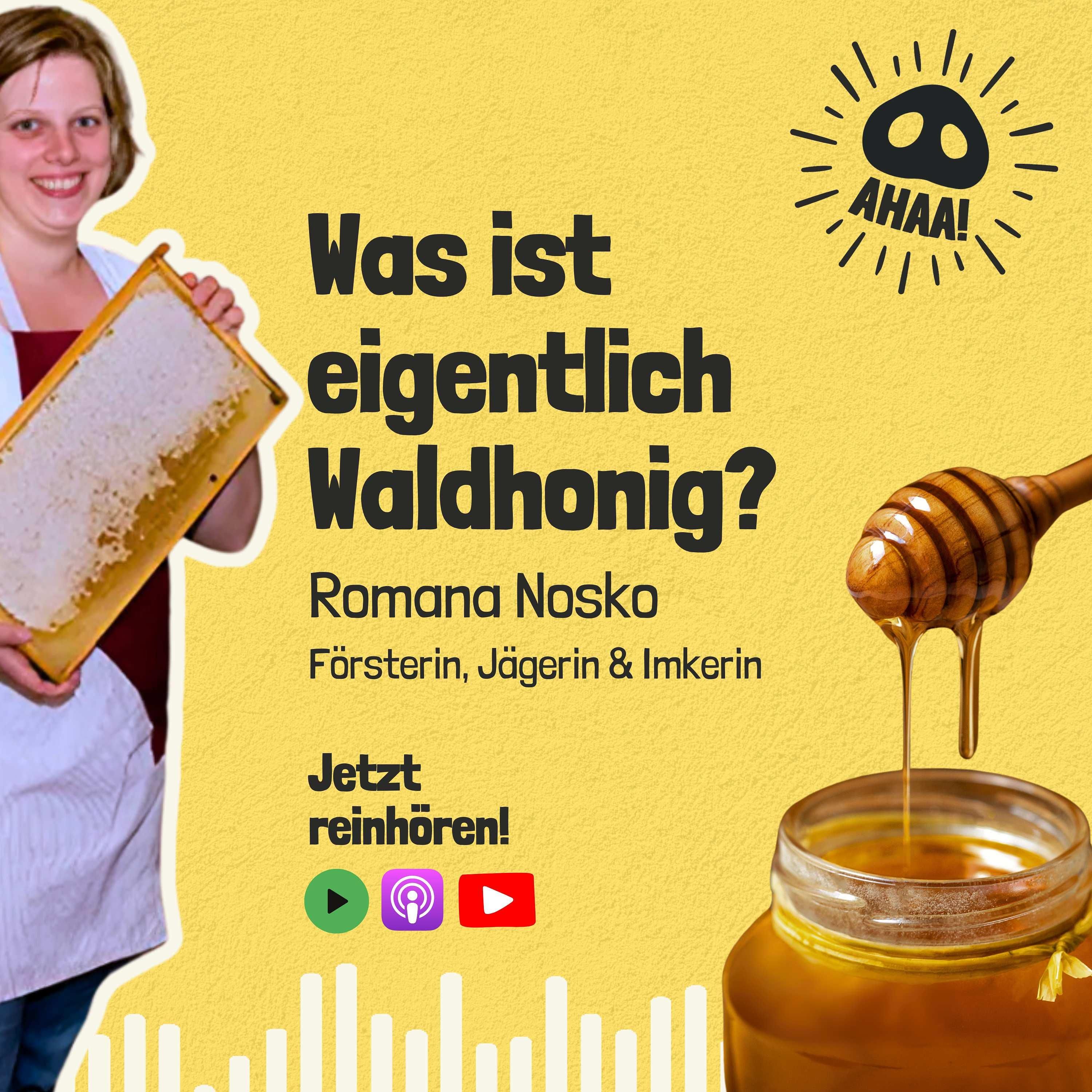 Ahaa! - Was ist eigentlich Waldhonig?
