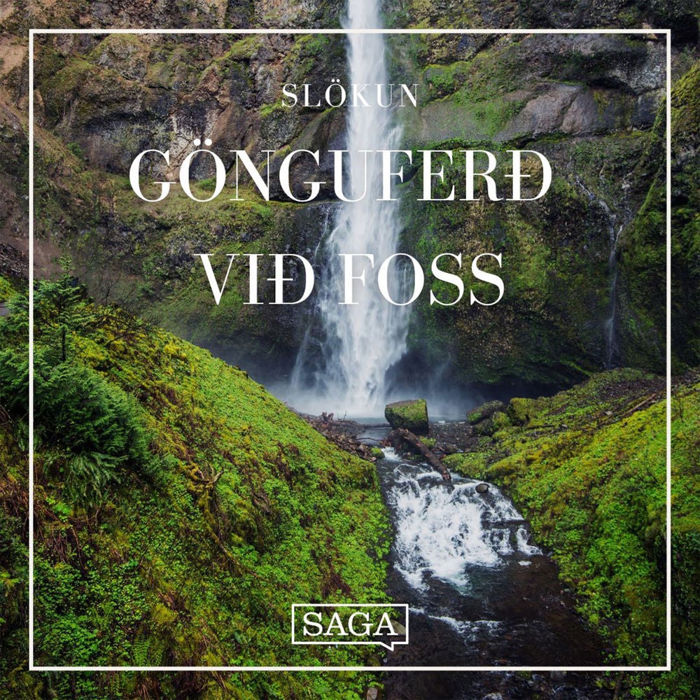 Gönguferð við foss