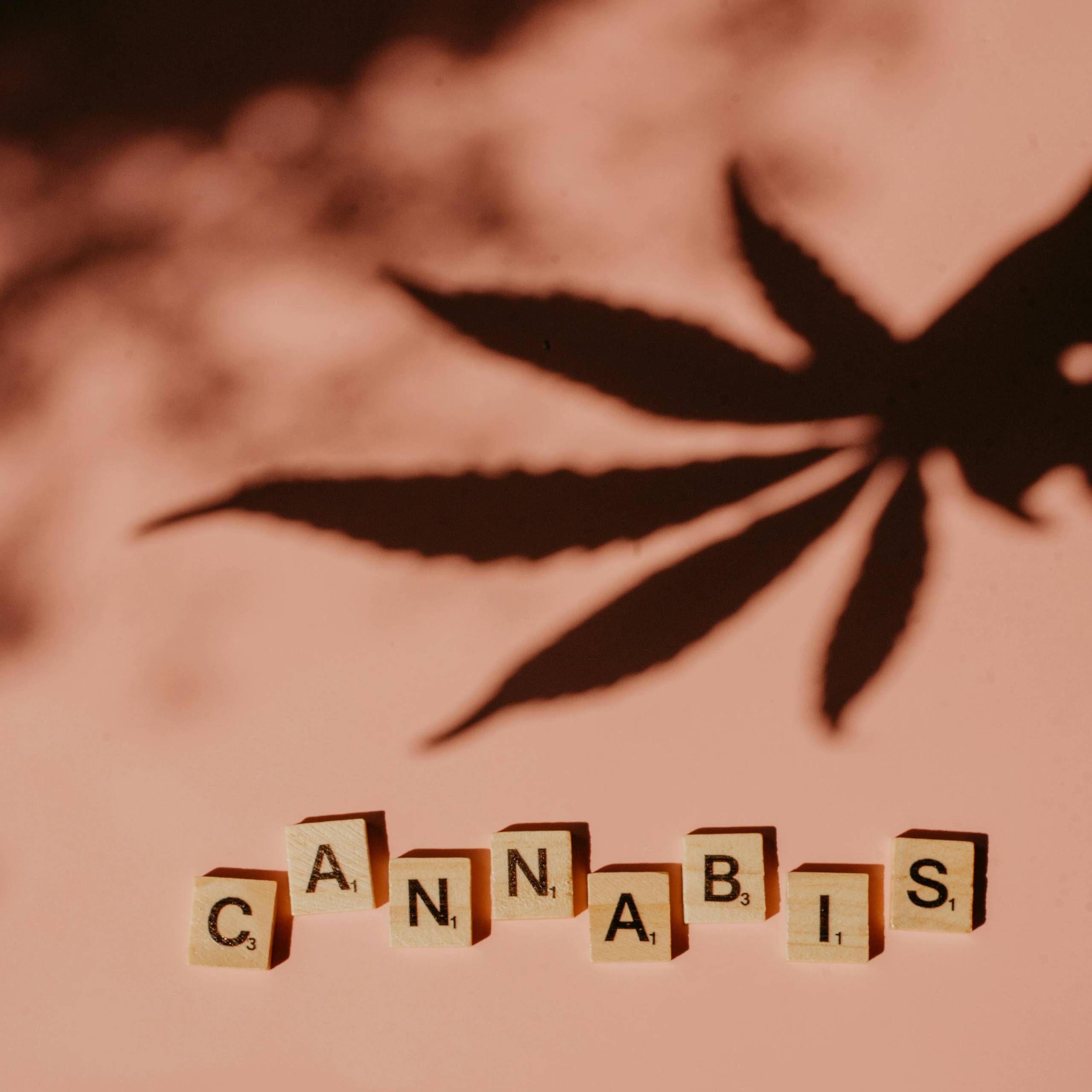 Gras am Arbeitsplatz: Cannabis und Arbeitsschutz - Eine nüchterne Betrachtung