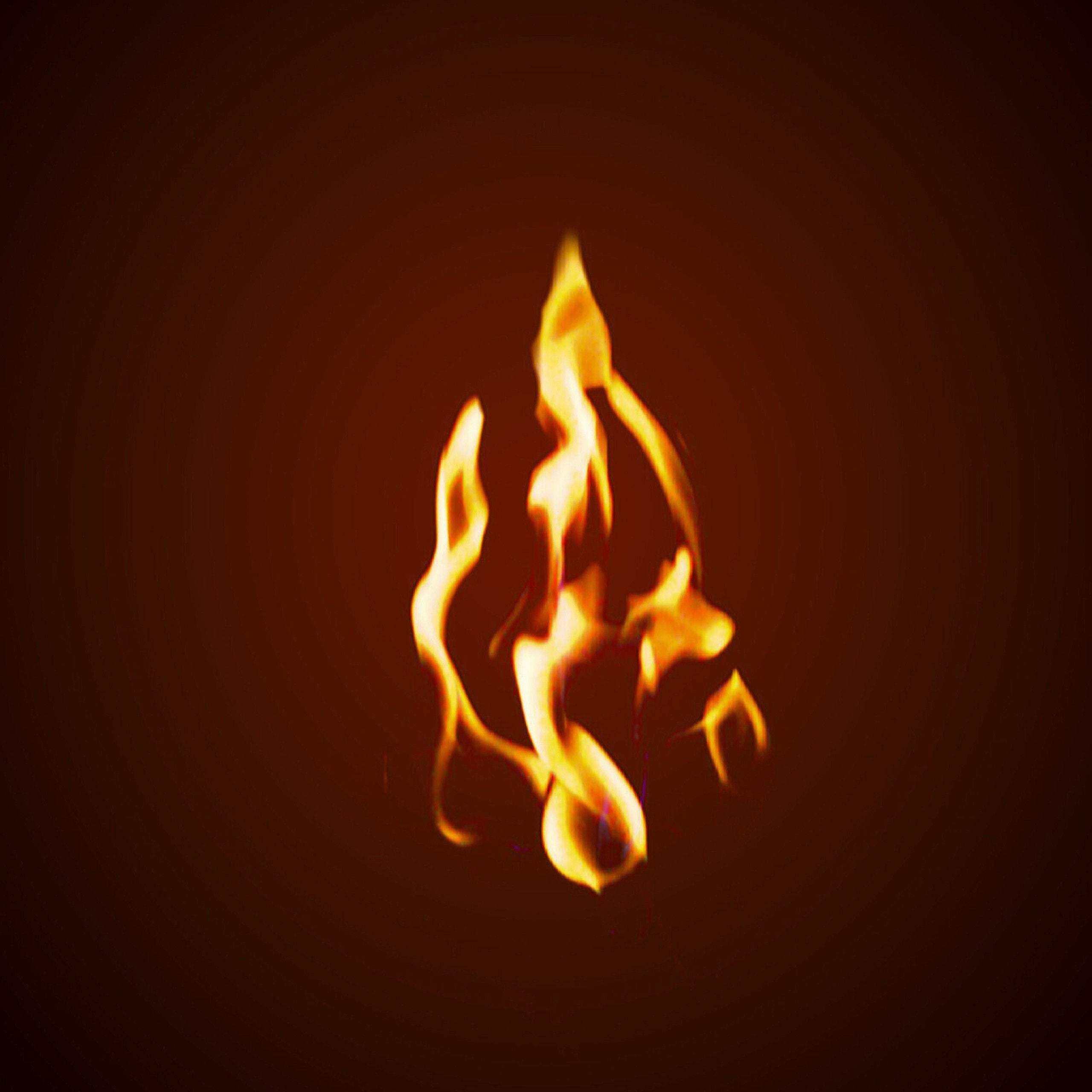 Feuer und Flamme: Betrieblicher Brandschutz in Aktion