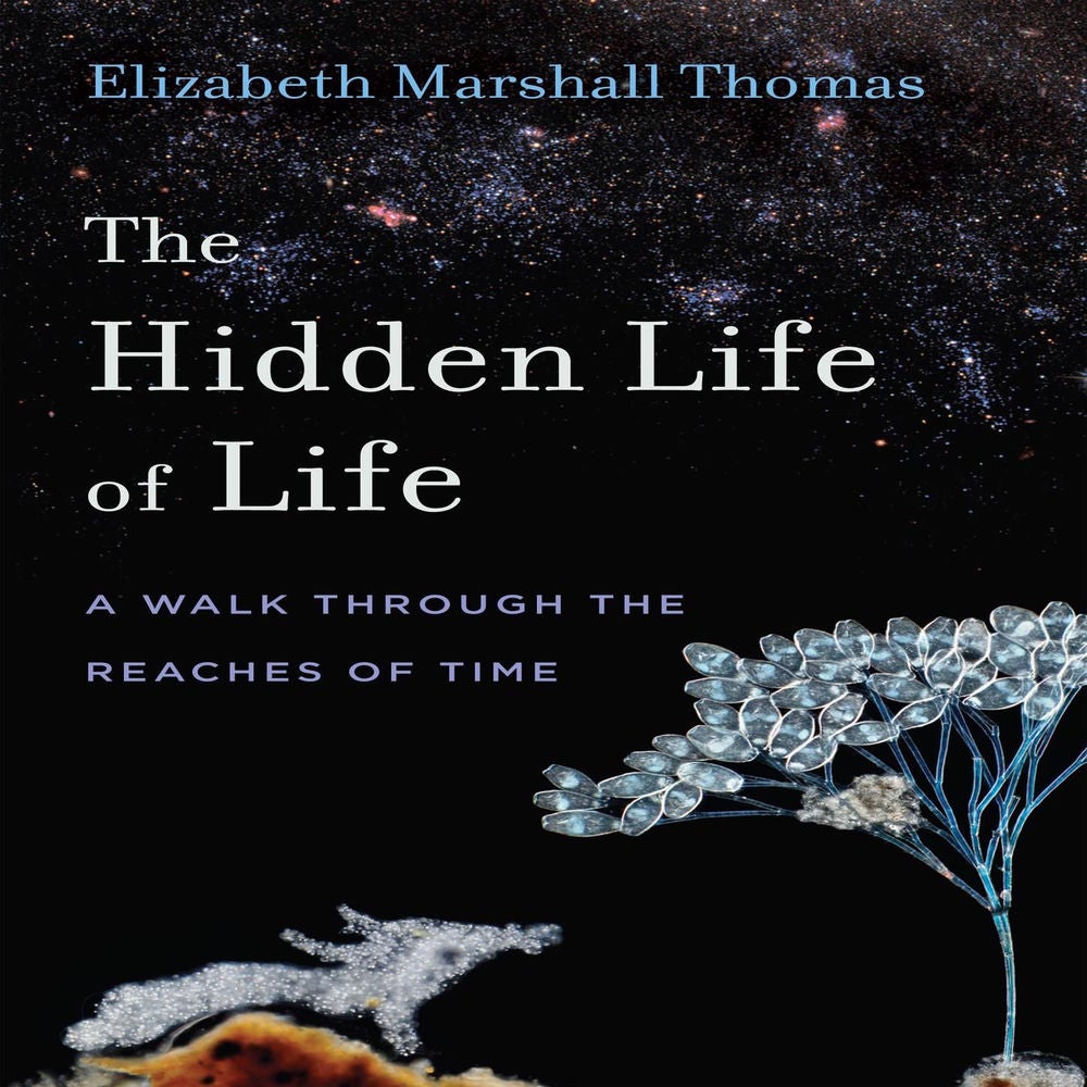The Hidden Life of Life - A Walk through the Reaches of Time