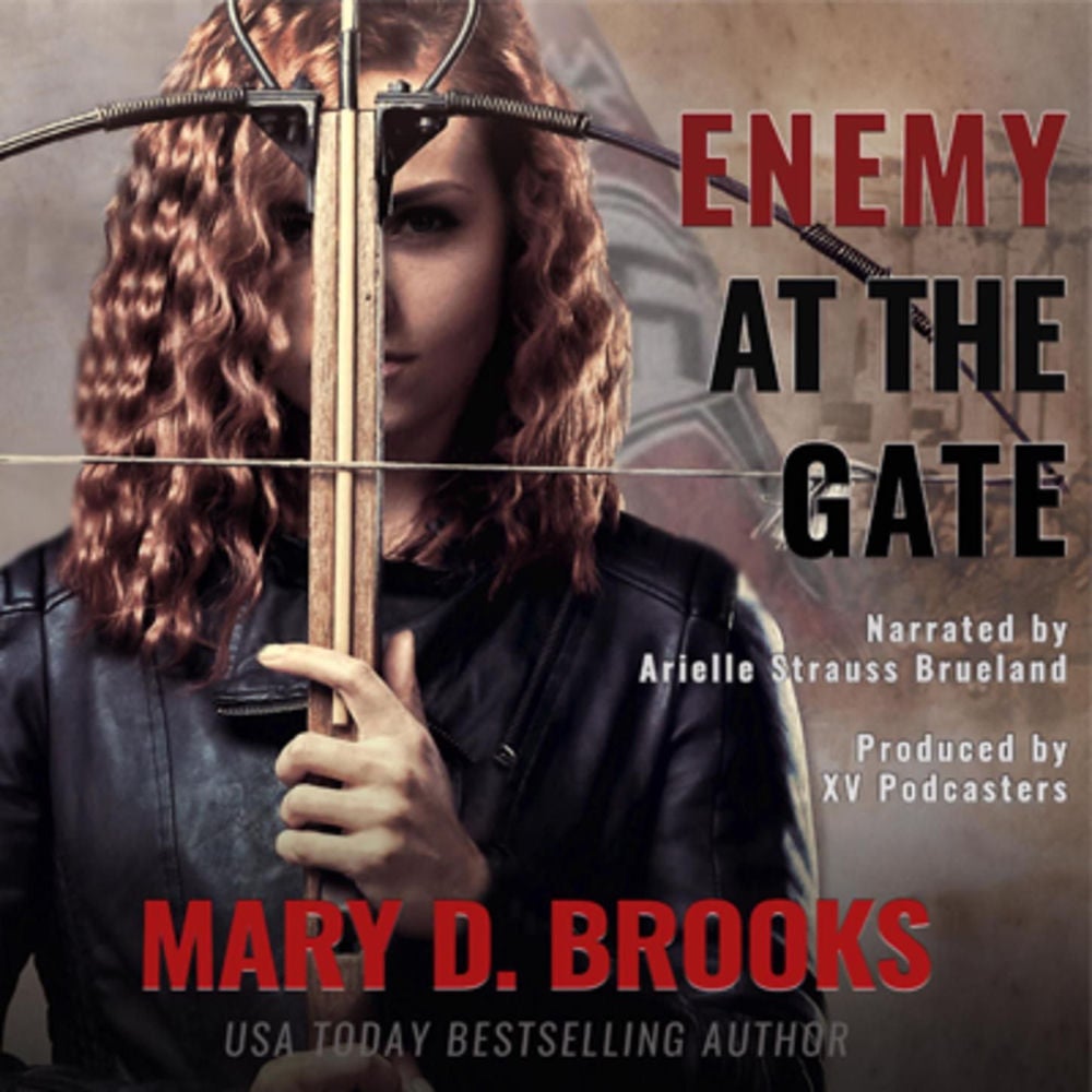 ENEMY AT THE GATE - Prequels Intertwined Souls Series Book 1