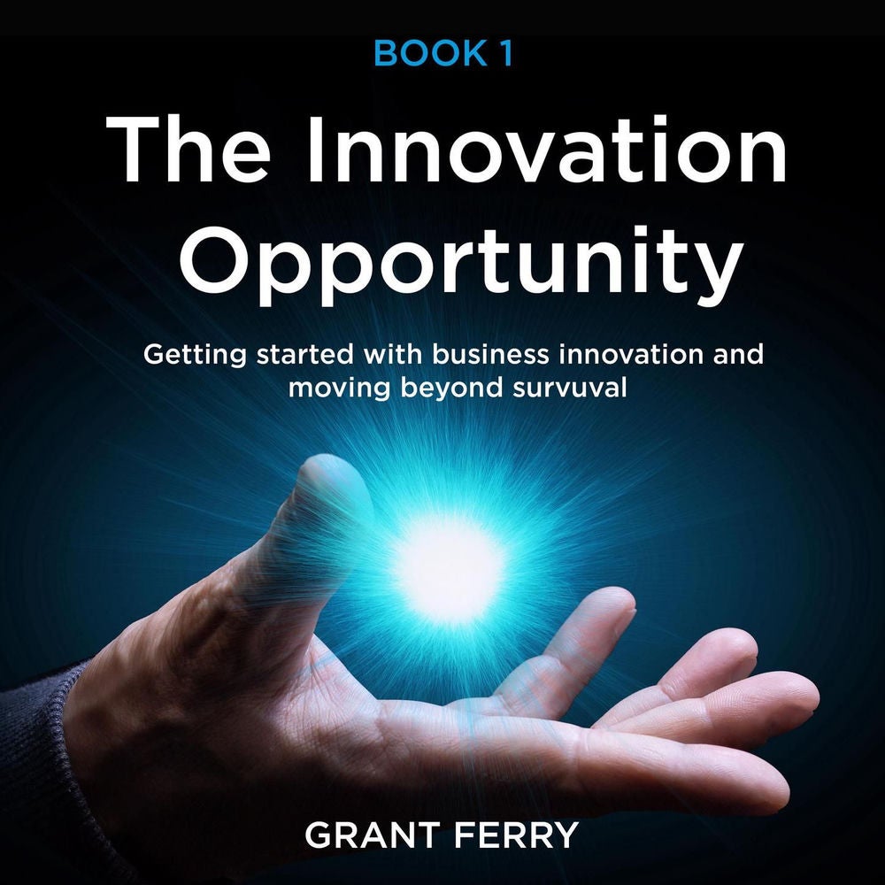 The Innovation Opportunity - Getting started with business innovation and moving beyond survival!