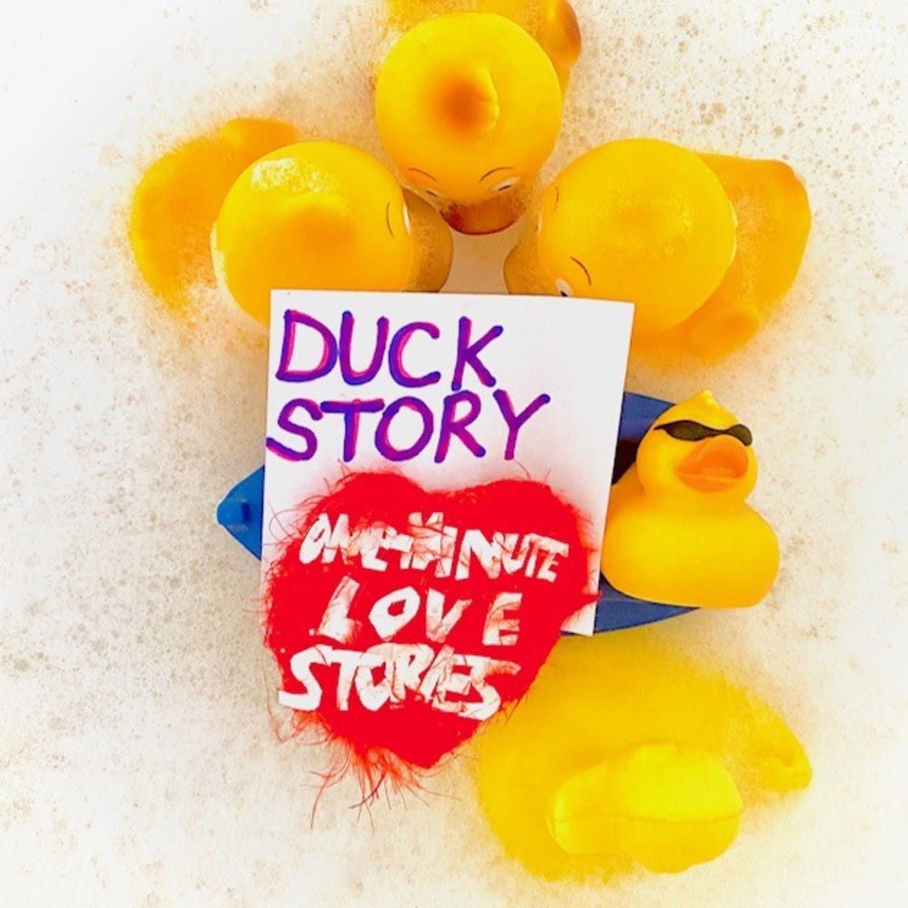 Duck Story