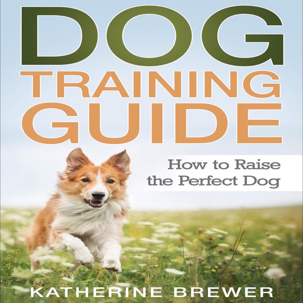 Dog Training Guide - How to Raise the Perfect Dog