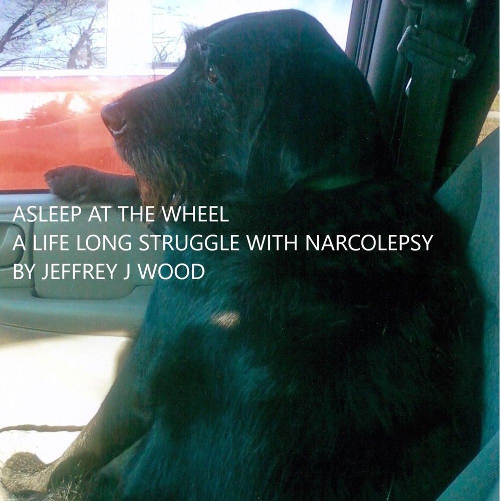Asleep at the Wheel - A life long Struggle with Narcolepsy