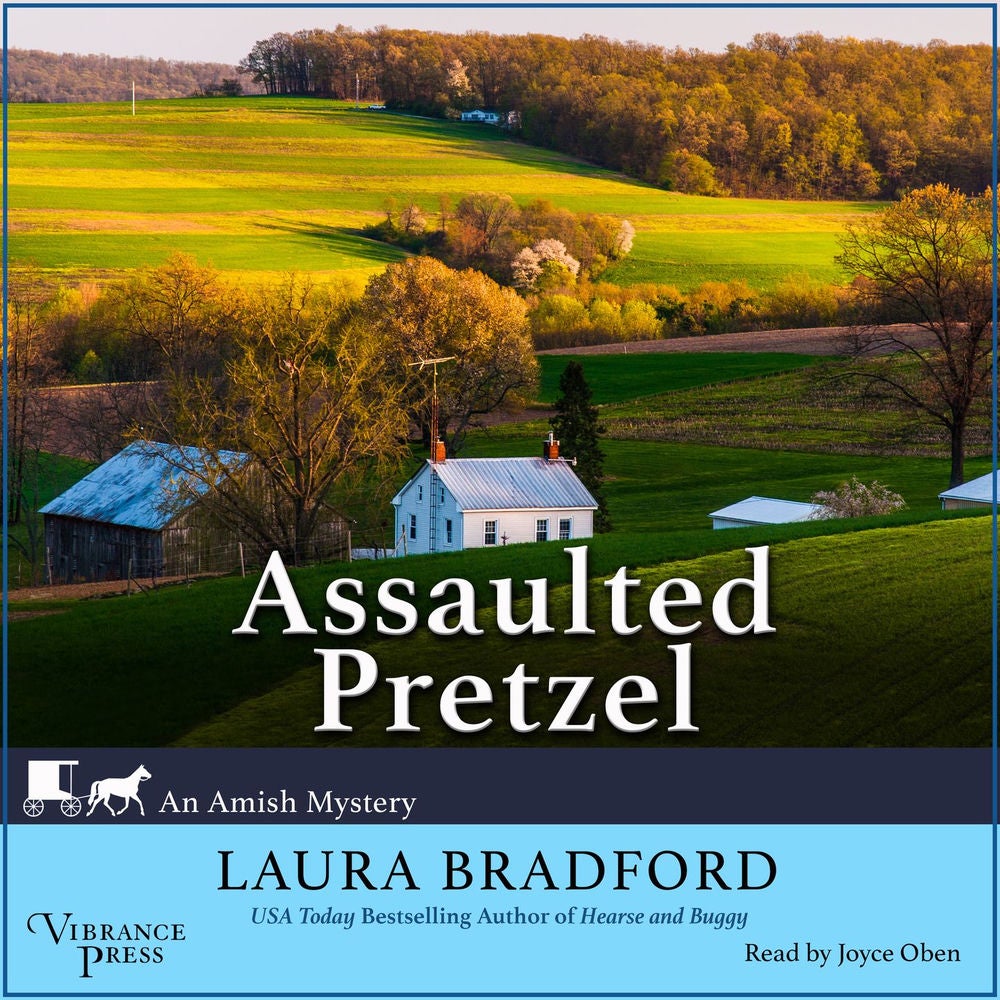 Assaulted Pretzel - An Amish Mystery, Book 2