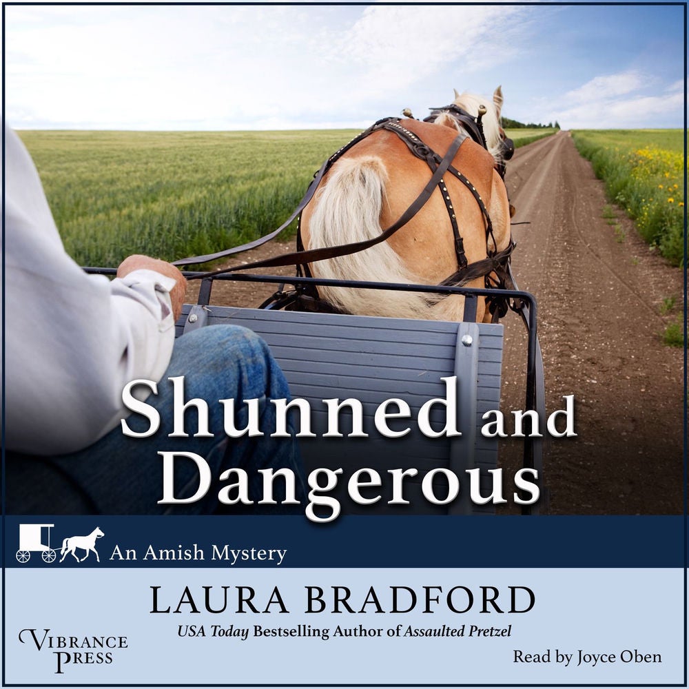 Shunned and Dangerous - An Amish Mystery, Book 3