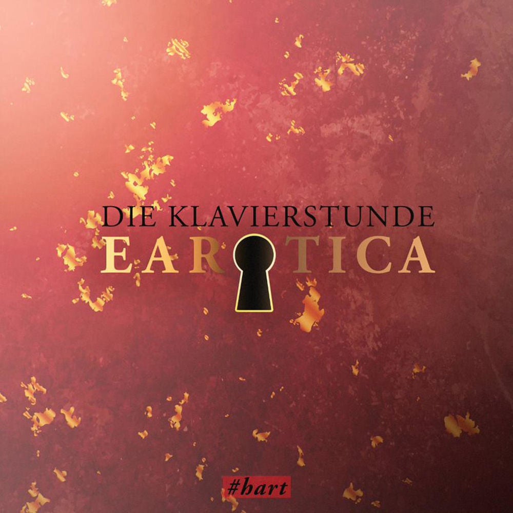 Die Klavierstunde