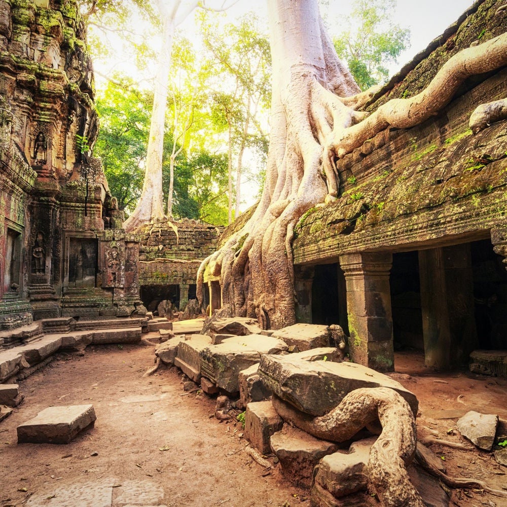 Tempel des Vergessens