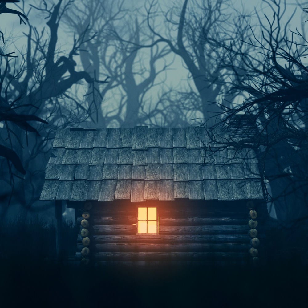 Die Waldhütte