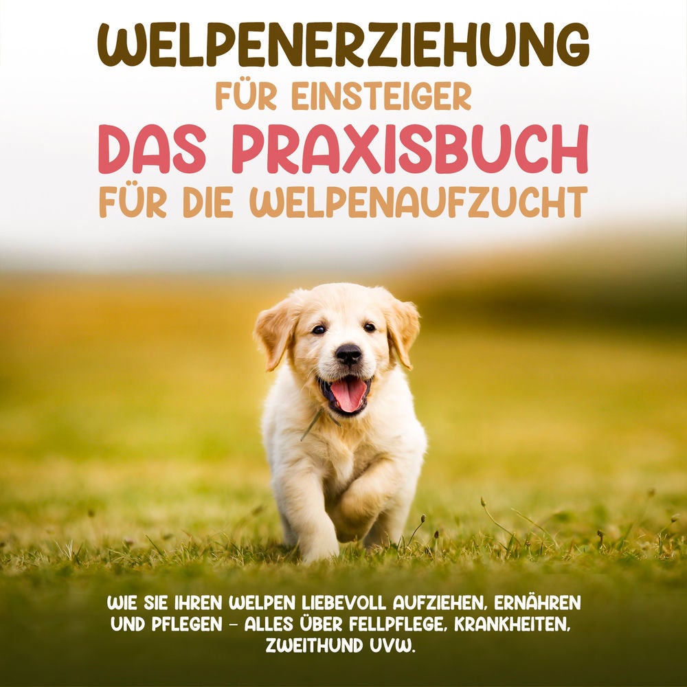 Welpenerziehung für Einsteiger - Das Praxisbuch für die Welpenaufzucht: Wie Sie Ihren Welpen liebevoll aufziehen, ernähren und pfl