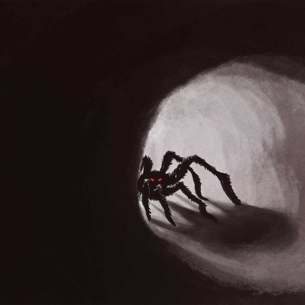 Das Spinnenmonster