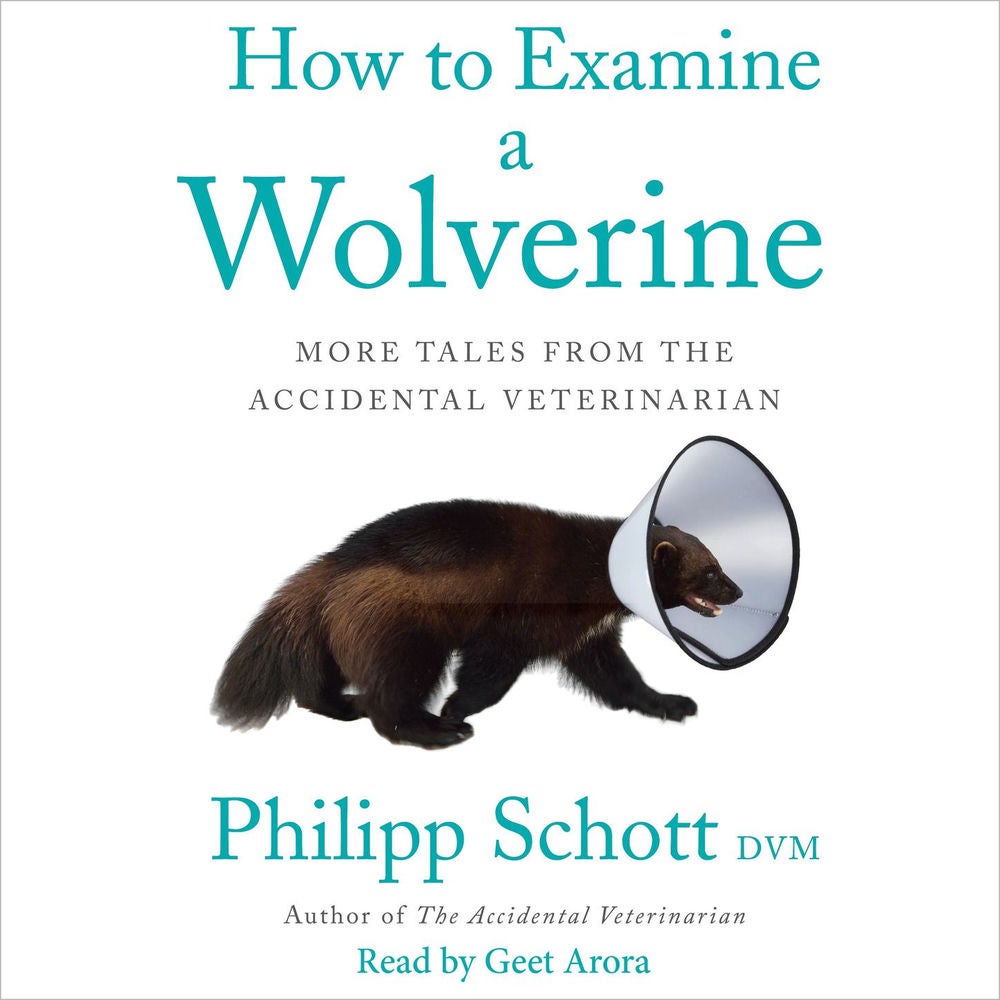How to Examine a Wolverine - More Tales from the Accidental Veterinarian