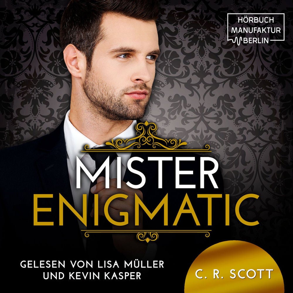 Mister Enigmatic - The Misters, Band 4