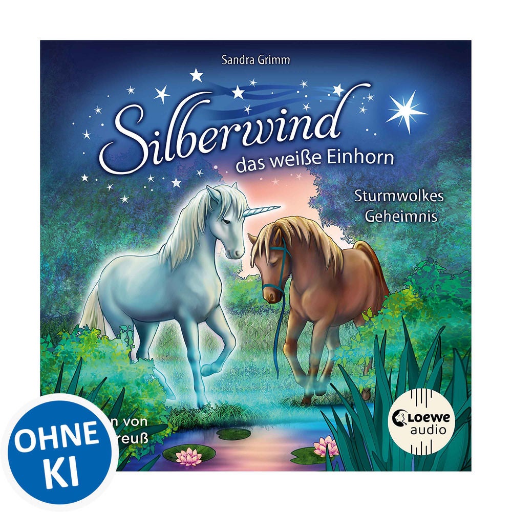 Silberwind, das weiße Einhorn (Band 4) - Sturmwolkes Geheimnis