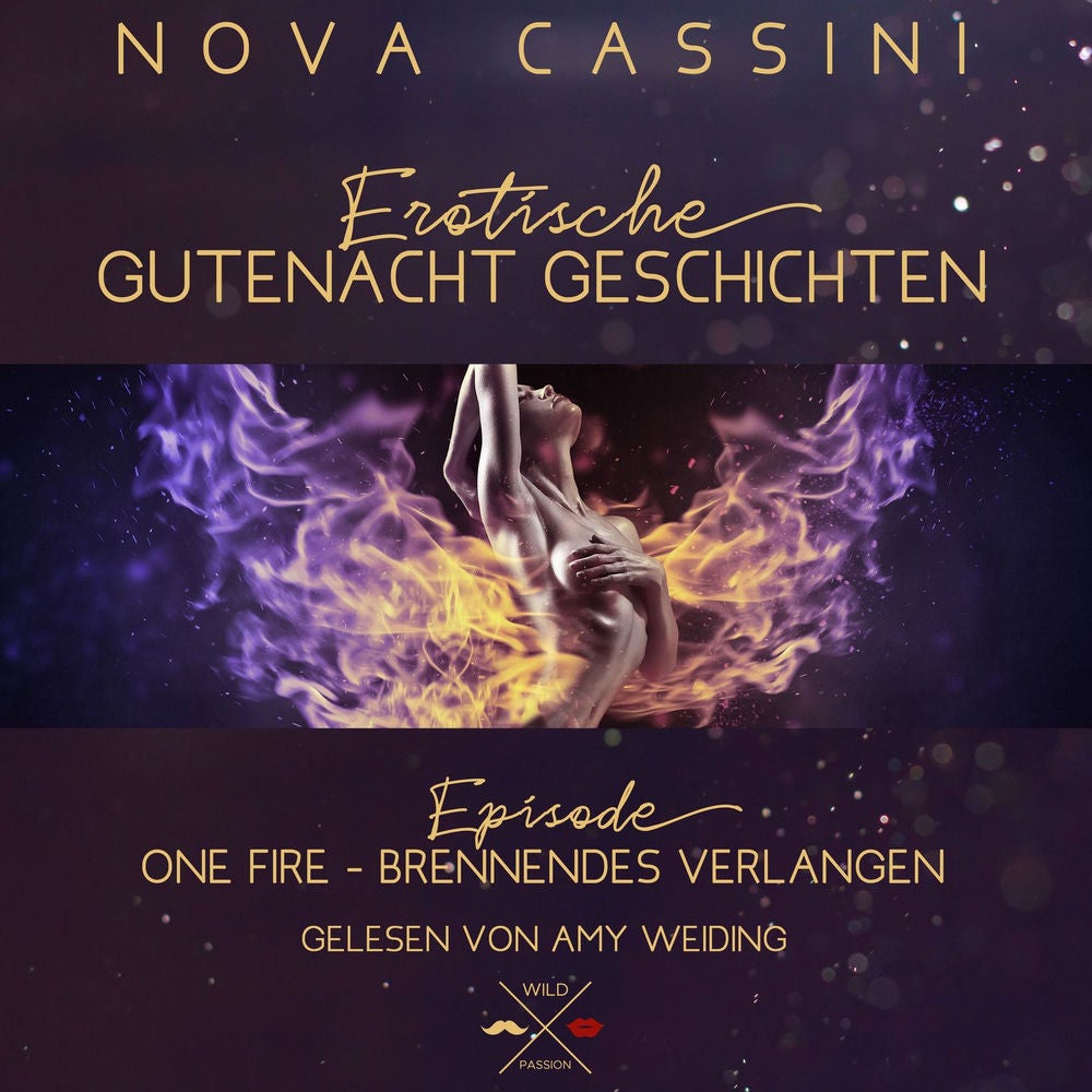 One Fire - Erotische Gutenacht Geschichten, Band 1