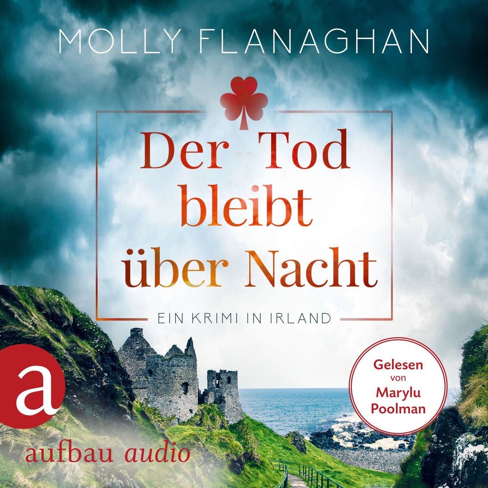 Der Tod bleibt über Nacht - Ein Krimi in Irland - Fiona O'Connor ermittelt, Band 2