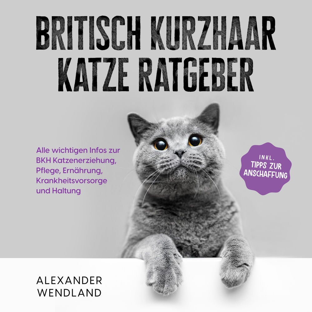 Britisch Kurzhaar Katze Ratgeber: Alle wichtigen Infos zur BKH Katzenerziehung, Pflege, Ernährung, Krankheitsvorsorge und Haltung
