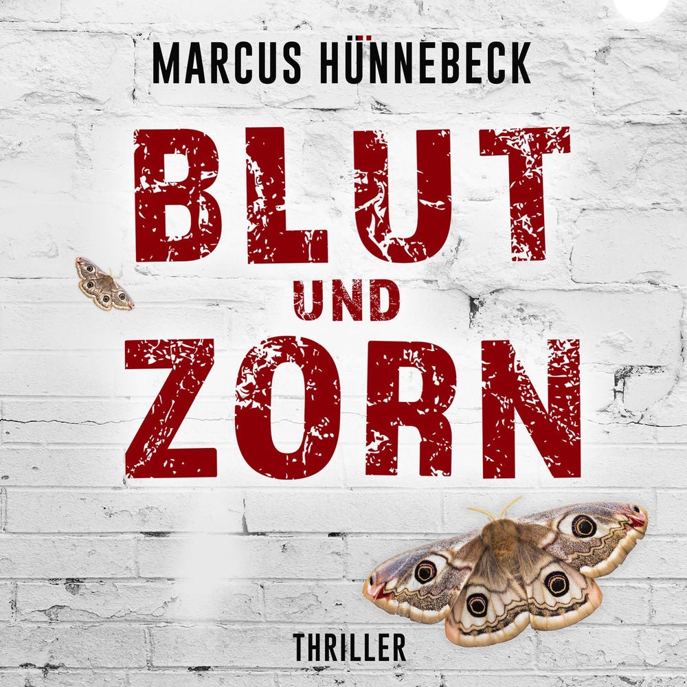 Blut und Zorn - Drosten und Sommer, Band 3