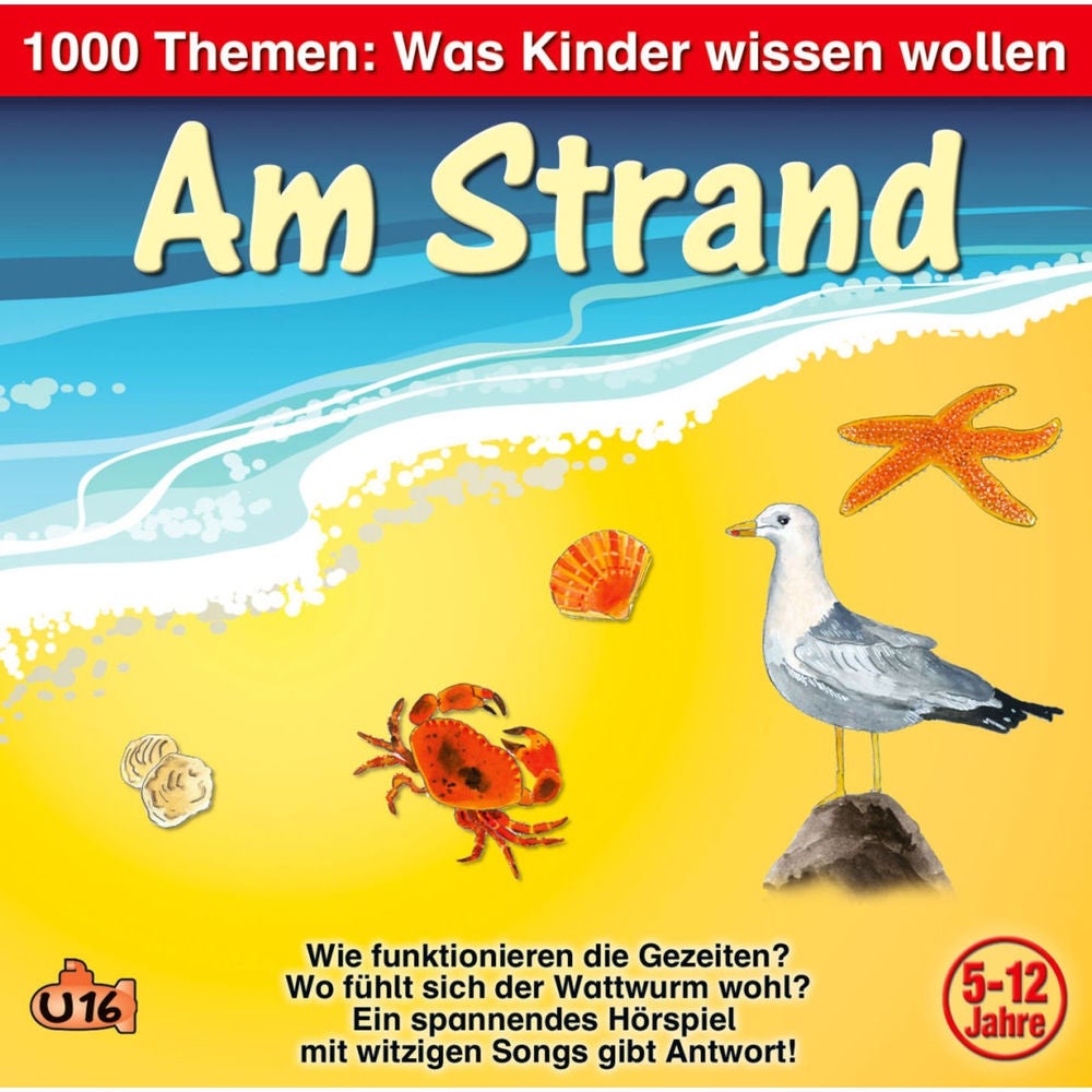 1000 Themen - Was Kinder wissen wollen: Am Strand