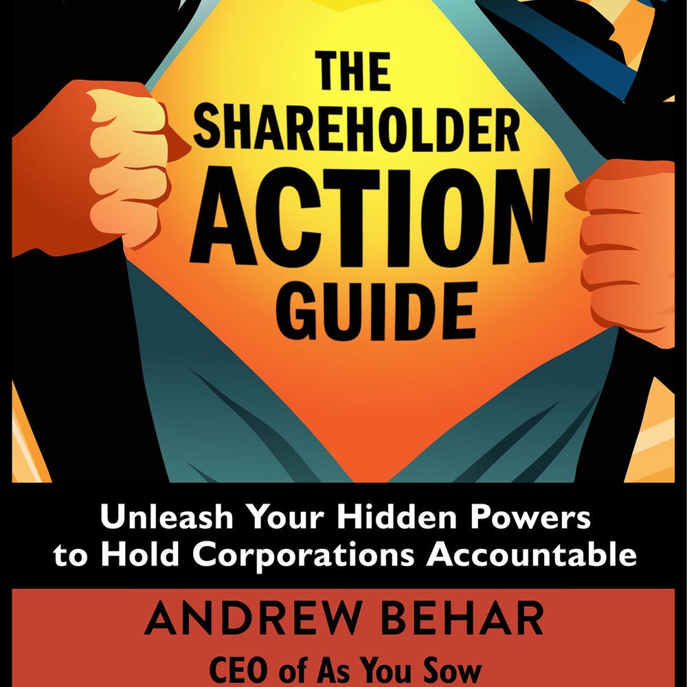 The Shareholder Action Guide - Unleash Your Hidden Powers to Hold Corporations Accountable