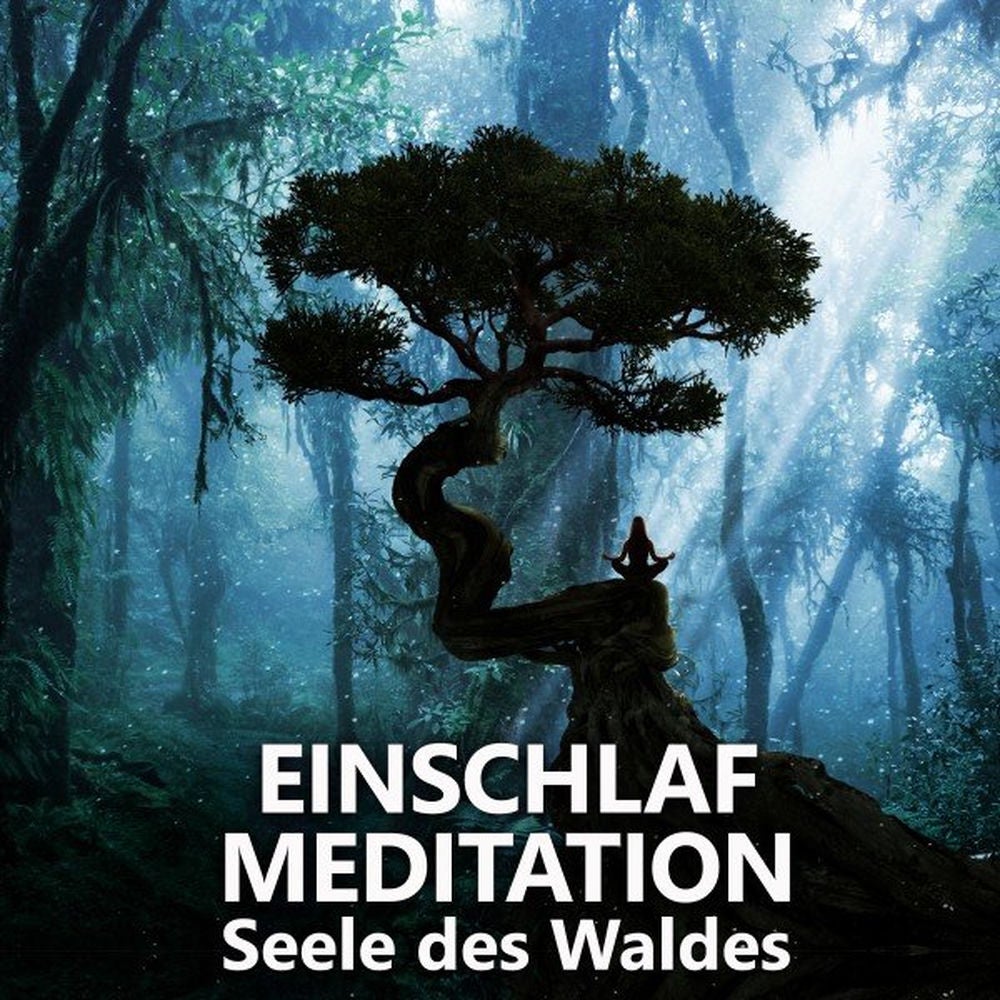 Einschlafmeditation - Seele des Waldes