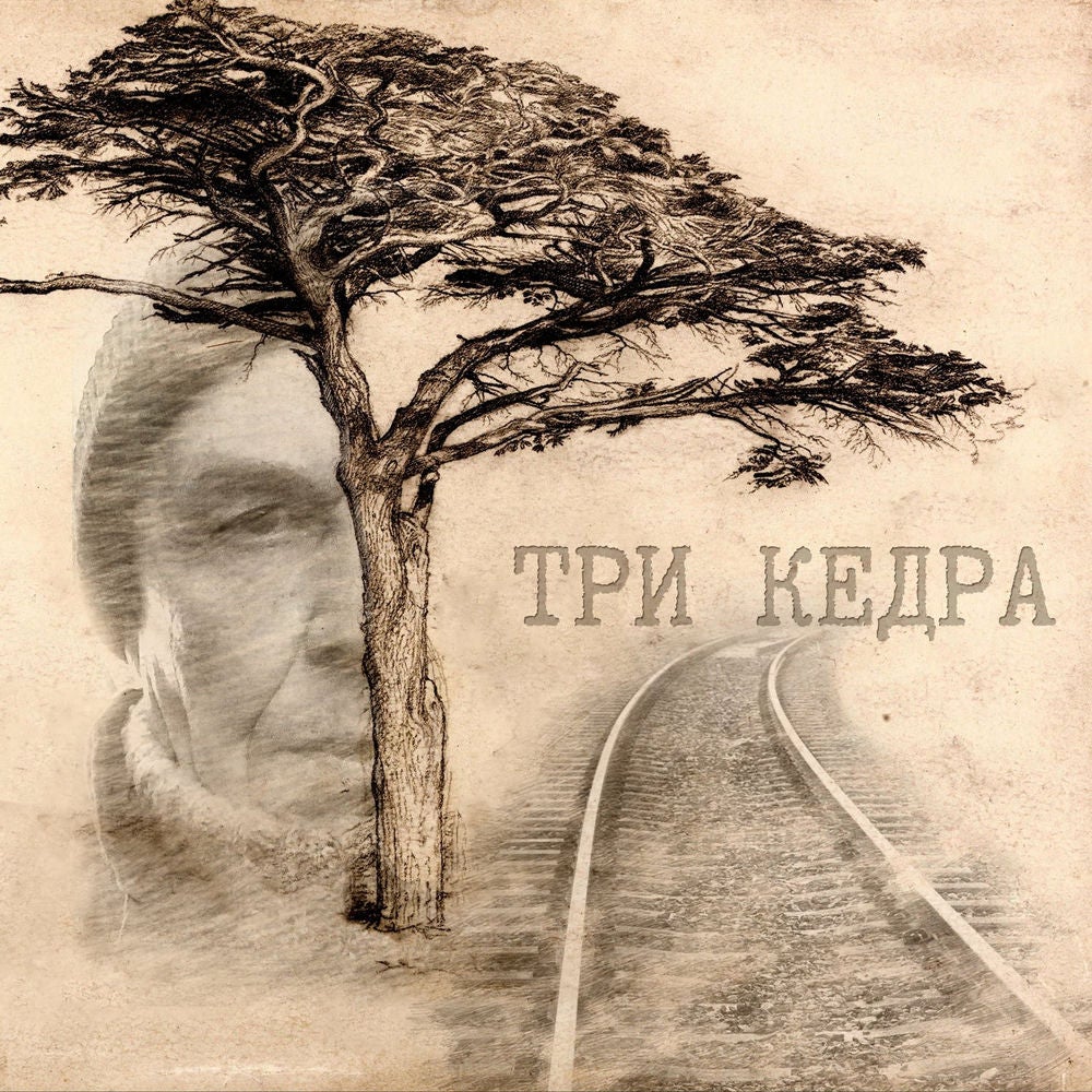 Три кедра
