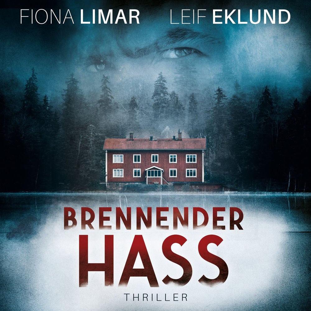 Brennender Hass - Schwedenthriller, Band 2
