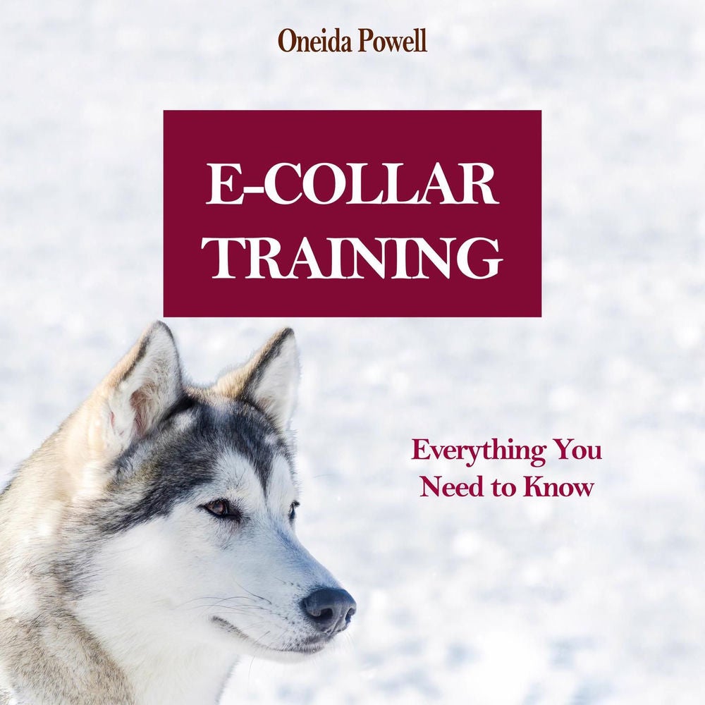 E-Collar Training - Everything You Need to Know