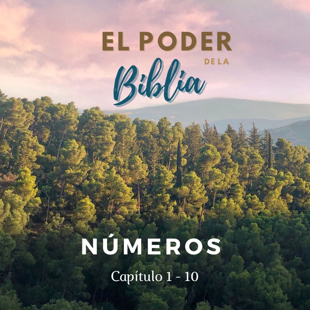 Números Capítulo 1 - 10