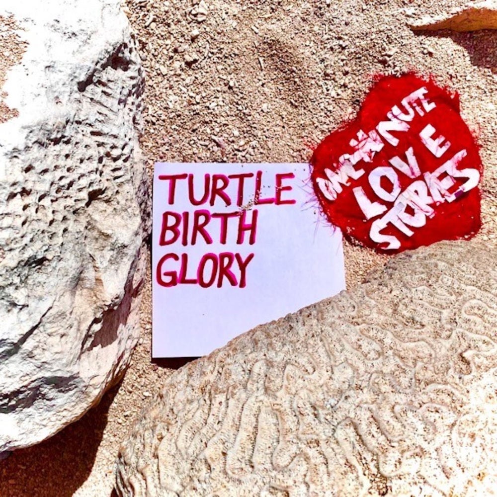 Turtle Birth Glory