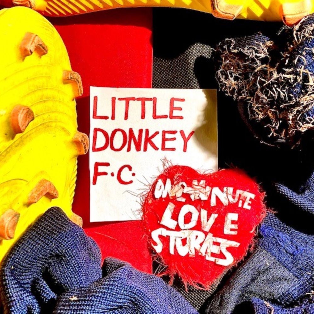 Little Donkey FC