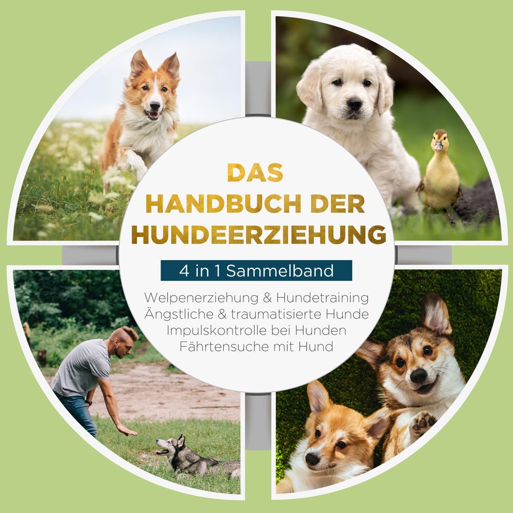Das Handbuch der Hundeerziehung - 4 in 1 Sammelband: Impulskontrolle bei Hunden | Welpenerziehung & Hundetraining | Ängstliche & t