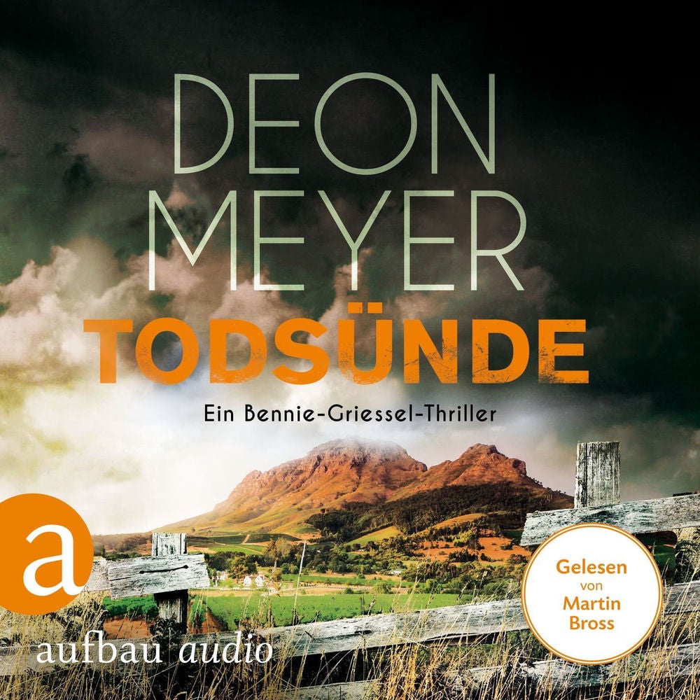 Todsünde - Benny Griessel Romane, Band 8