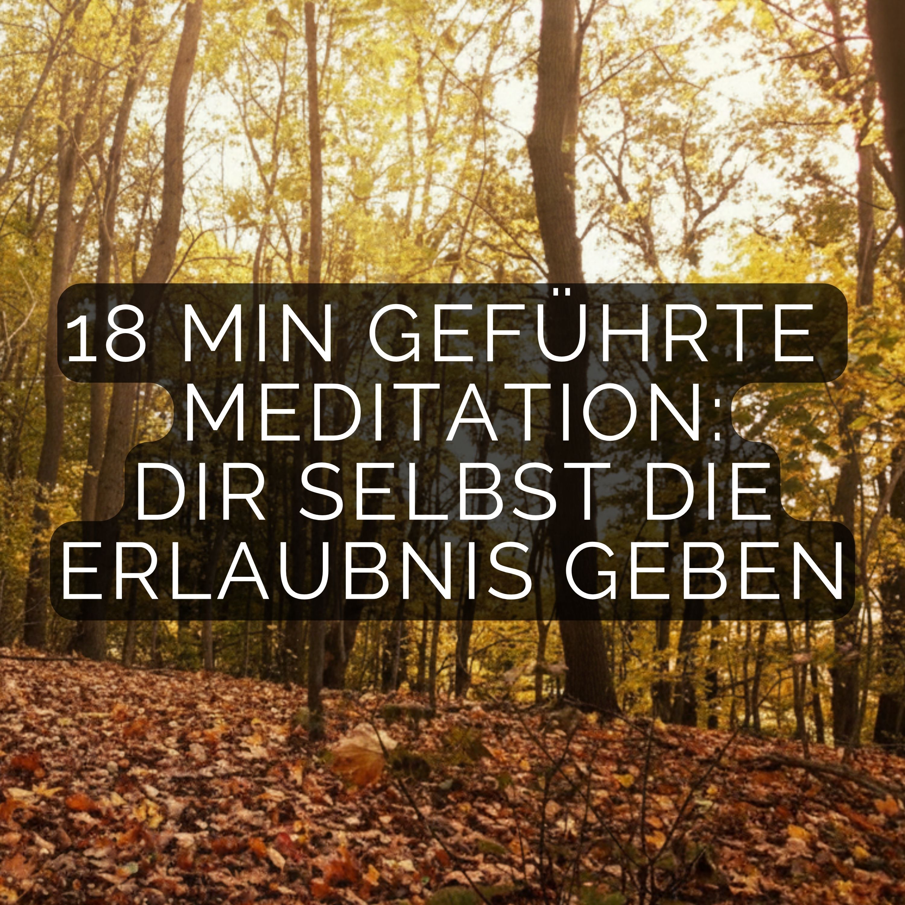 18-Minuten Meditation: Aus dem Käfig der Anpassung in deine Freiheit