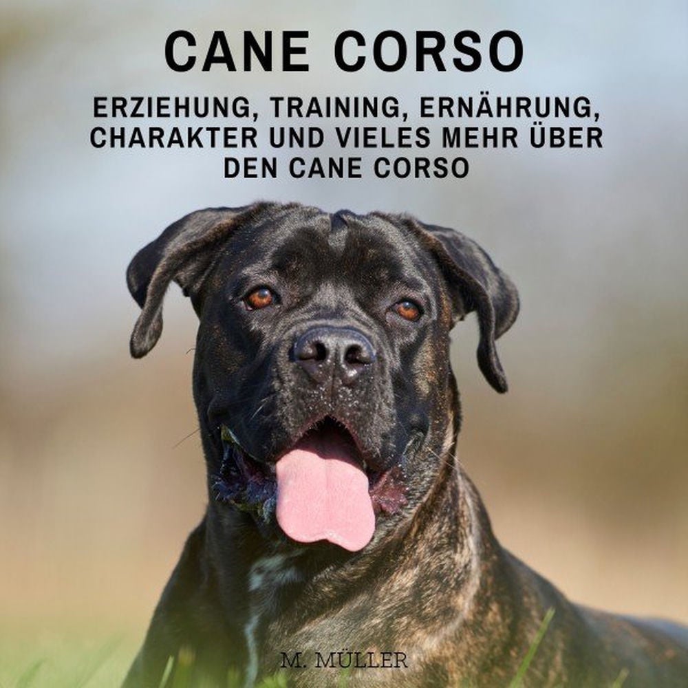 Cane Corso