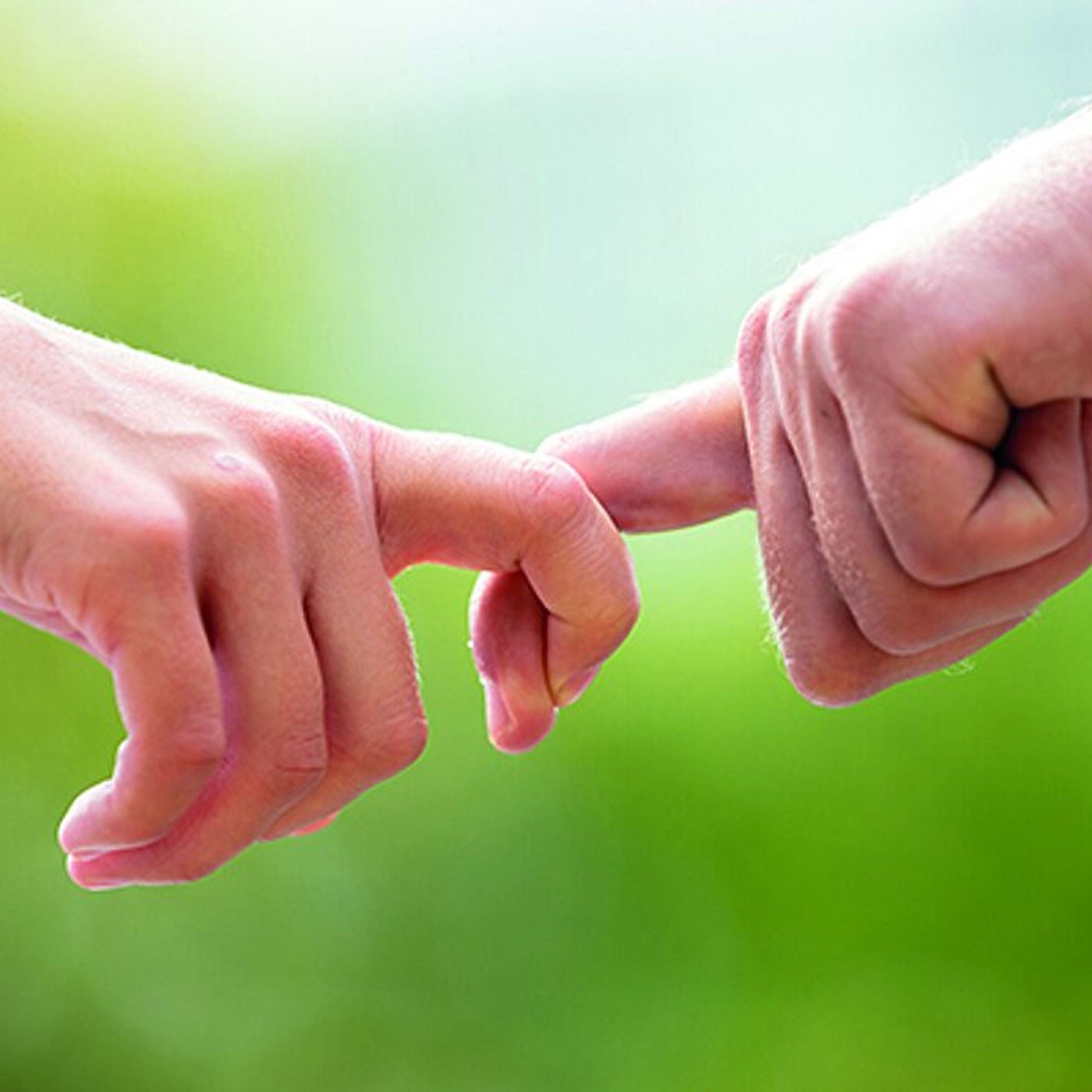 Freundschaft – Vielfalt und Tiefe einer Lebensform
