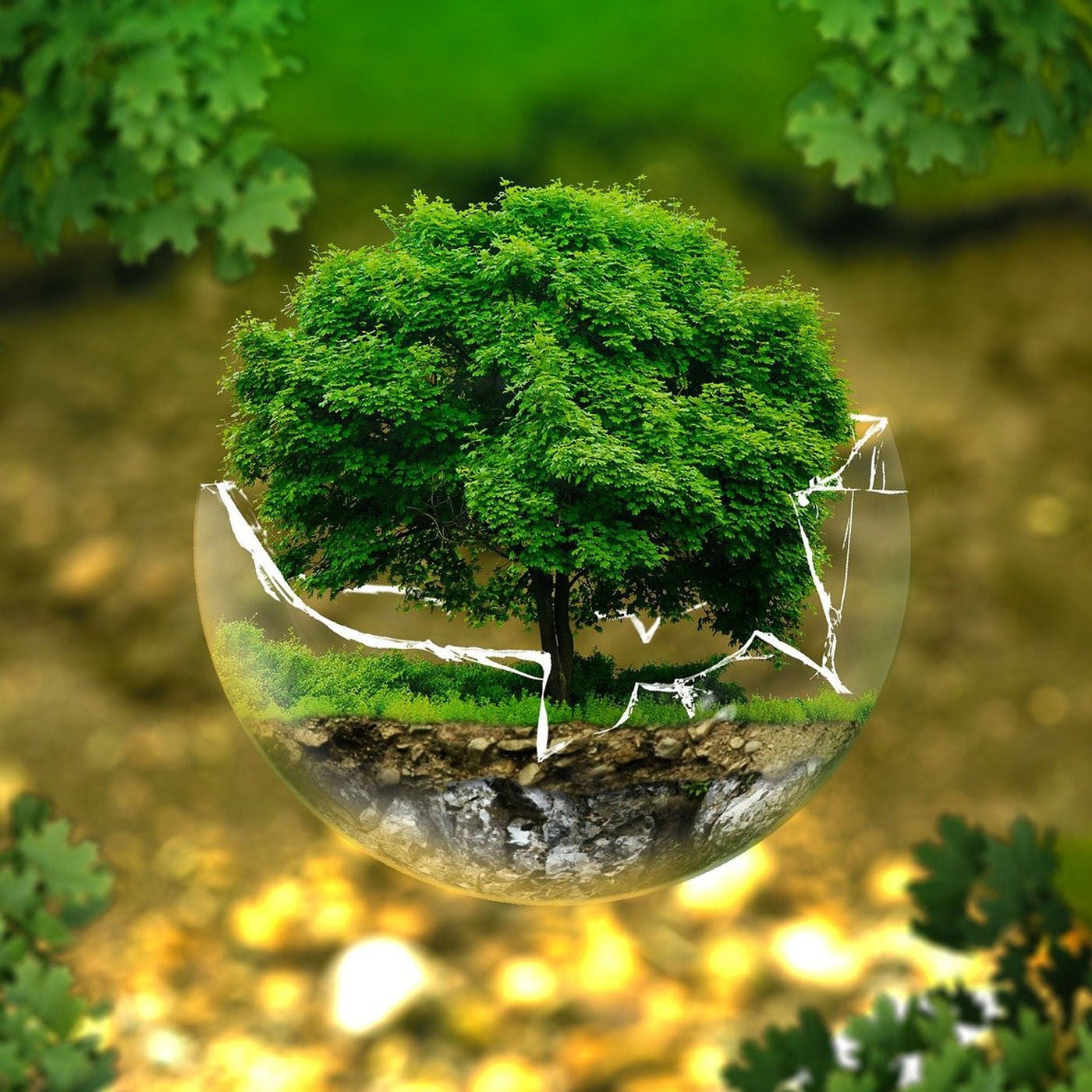 Client Earth
