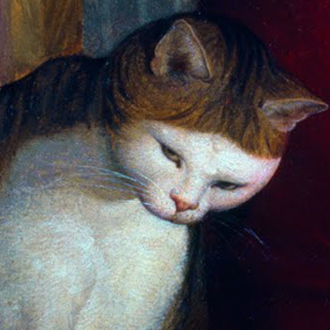 Nils Minkmar - Montaignes Katze