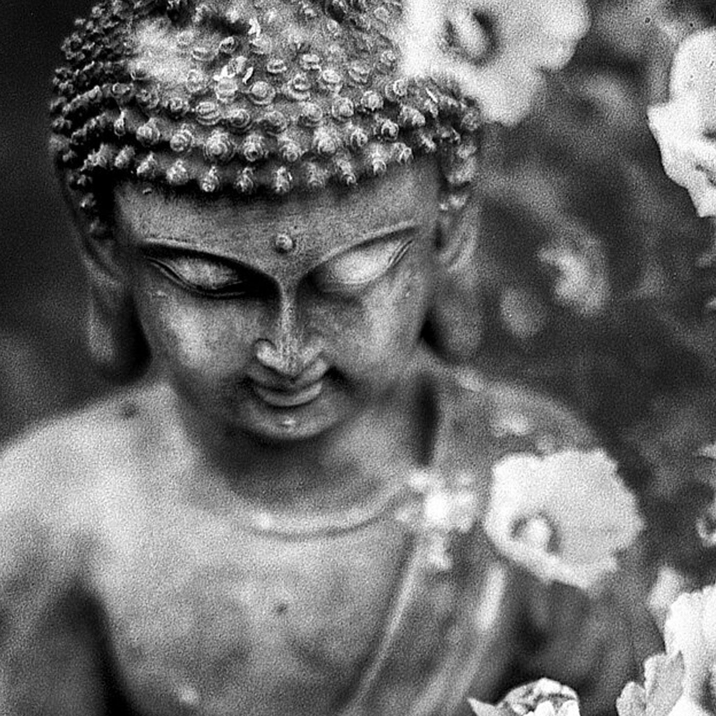 Gott oder die Fülle des Nichts - Buddhistisch-Christliches Dialogforum