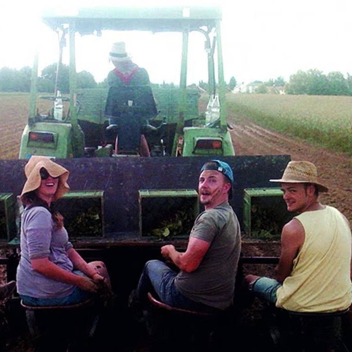 Impact-Investing meets Landwirtschaftswende