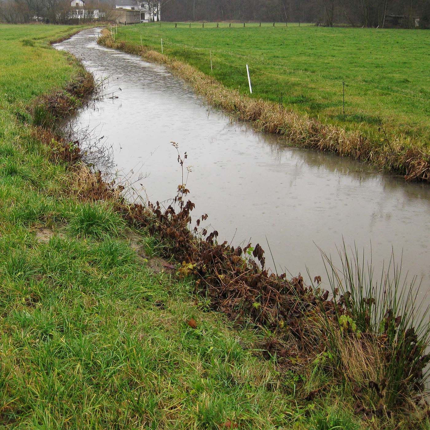 Wasser, lebenswichtige Ressource