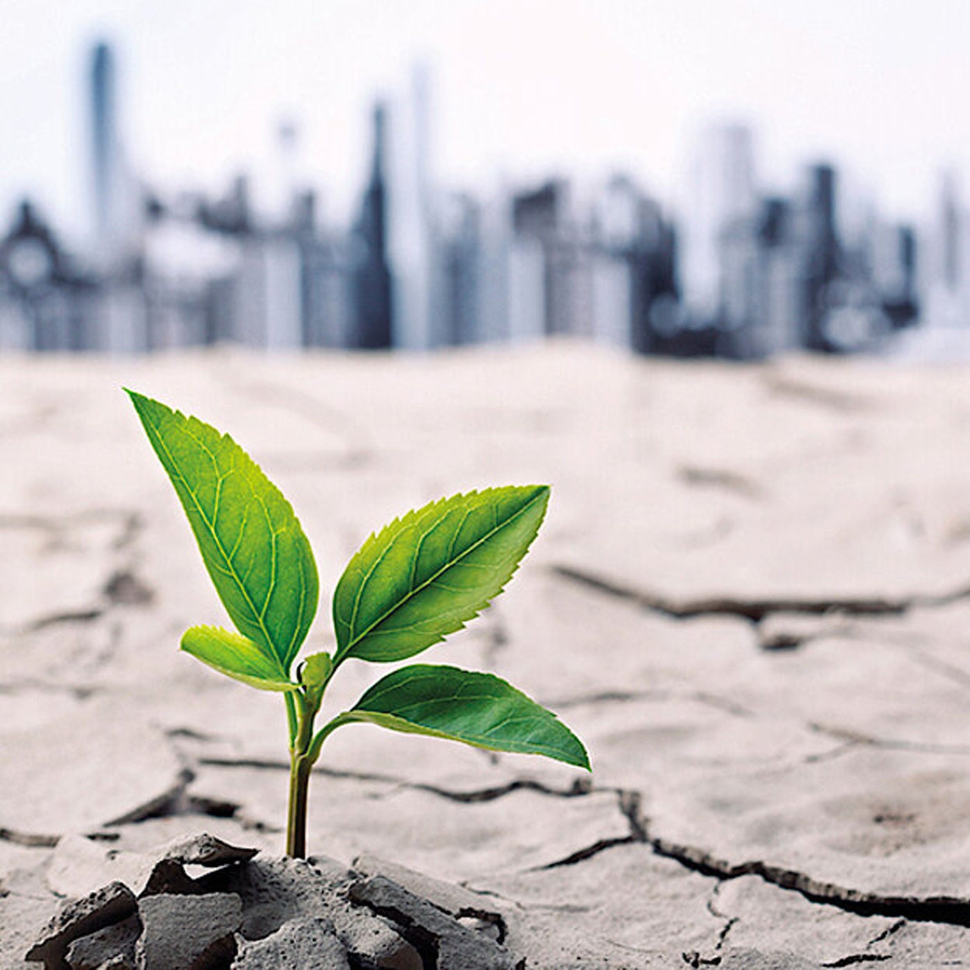 Wirken, solange wir können - Aufstehen für das Leben inmitten der Pandemie und Klimakatastrophe