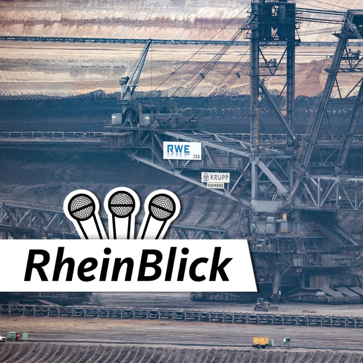 Nie wieder Leitentscheidung!