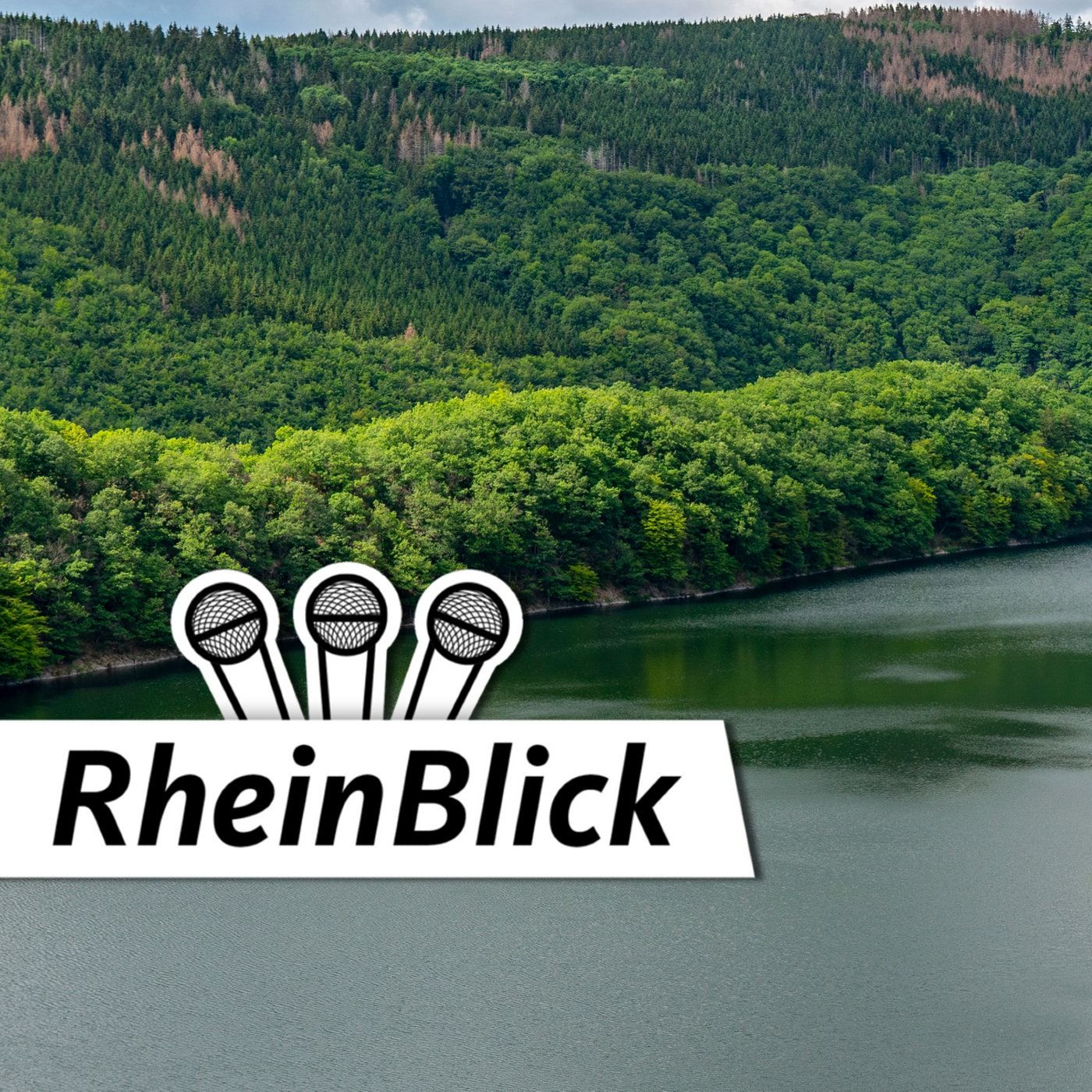 Warum ein Nationalpark polarisiert
