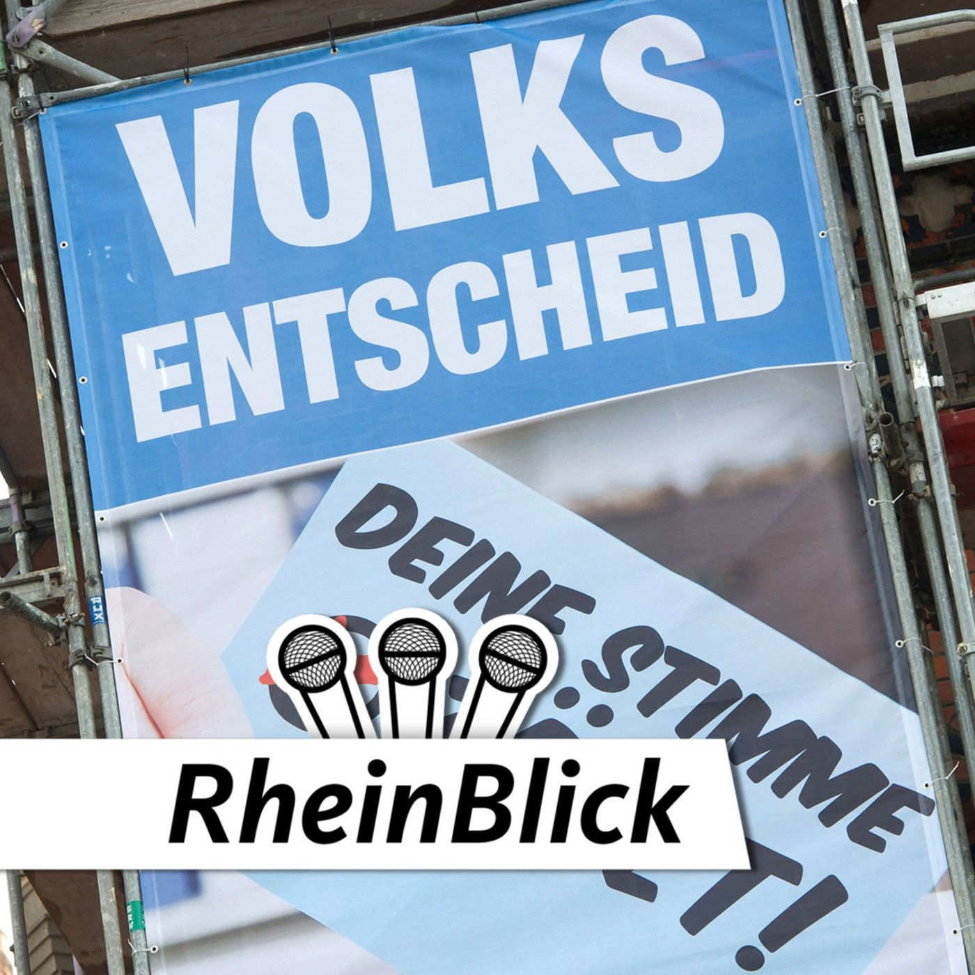 Mehr Demokratie wagen: Wie wagemutig sind wir?