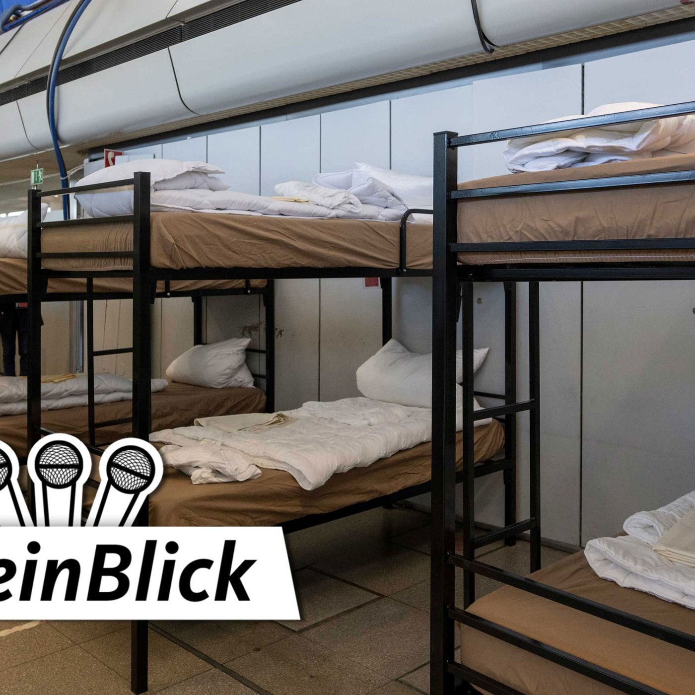 Zuwanderung und Integration - schaffen wir das?